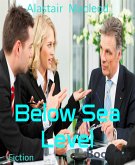 Below Sea Level (eBook, ePUB)