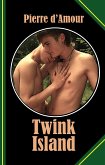 Twink Island (eBook, ePUB)