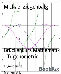 Brückenkurs Mathematik - Trigonometrie (eBook, ePUB) - Ziegenbalg, Michael