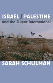 Israel/Palestine and the Queer International (eBook, PDF)