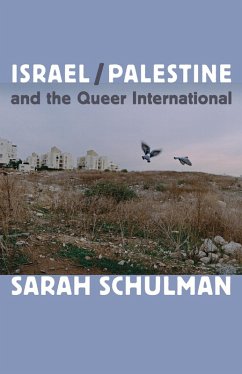 Israel/Palestine and the Queer International (eBook, PDF) - Sarah Schulman, Schulman