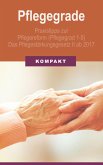 Pflegegrade: Praxistipps zur Pflegereform (Pflegegrad 1-5) - Das Pflegestärkungsgesetz II ab 2017 (eBook, ePUB)