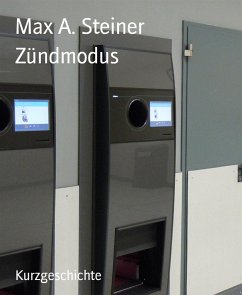 Zündmodus (eBook, ePUB) - A. Steiner, Max