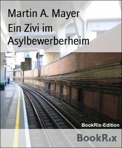 Ein Zivi im Asylbewerberheim (eBook, ePUB) - Mayer, Martin A.