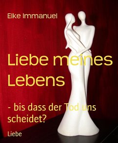 Liebe meines Lebens (eBook, ePUB) - Immanuel, Elke