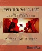 Zwei Ufer voller Lust (eBook, ePUB)