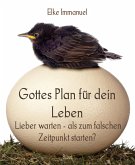 Gottes Plan für dein Leben (eBook, ePUB)