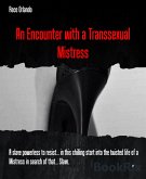 An Encounter with a Transsexual Mistress (eBook, ePUB)