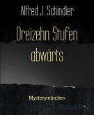 Dreizehn Stufen abwärts (eBook, ePUB)