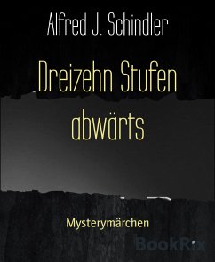 Dreizehn Stufen abwärts (eBook, ePUB) - Schindler, Alfred J.