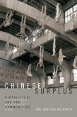 Chinese Surplus (eBook, PDF)