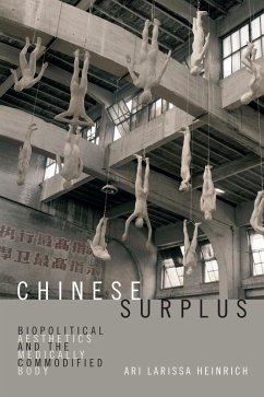 Cover Chinese Surplus (eBook, PDF)