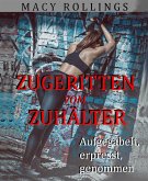 Zugeritten vom Zuhälter (eBook, ePUB)