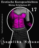 Erotische Kurzgeschichten 17 - Meine Erlebnisse Teil 07 (eBook, ePUB)