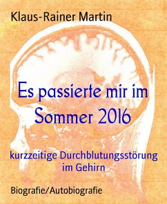 Es passierte mir im Sommer 2016 (eBook, ePUB) - Martin, Klaus-Rainer