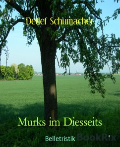 Murks im Diesseits (eBook, ePUB) - Schumacher, Detlef