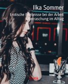 Erotische Erlebnisse bei der Arbeit (eBook, ePUB)