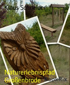 Naturerlebnispfad Großenbrode (eBook, ePUB) - Schneider, Klaus