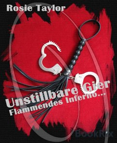 Unstillbare Gier - Flammendes Inferno (eBook, ePUB) - Taylor, Rosie