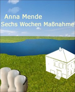 Sechs Wochen Maßnahme (eBook, ePUB) - Mende, Anna