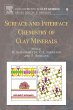 Surface and Interface Chemistry of Clay... - Bild 1