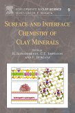Surface and Interface Chemistry of Clay Minerals (eBook, ePUB)