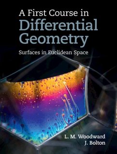 Cover First Course in Differential Geometry (eBook, ePUB)