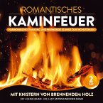 Romantisches Kaminfeuer-Harmonische Stimm