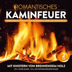 Romantisches Kaminfeuer-Harmonische Stimm - Kaminfeuer Lounge Club