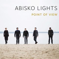 Point Of View - Abisko Lights