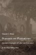 Peasants on Plantations (eBook, PDF) - Bild 1