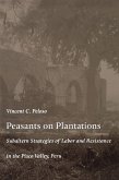 Peasants on Plantations (eBook, PDF)