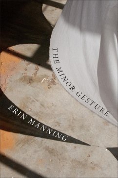 Cover Minor Gesture (eBook, PDF)