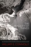 Fragility of Things (eBook, PDF) Fragility of Things (eBook, PDF)