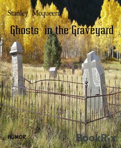 Ghosts in the Graveyard (eBook, ePUB) - Mcqueen, Stanley