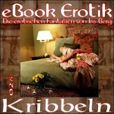 eBook Erotik 028: Kribbeln (eBook, ePUB)