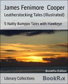 Leatherstocking Tales (Illustrated) (eBook, ePUB)