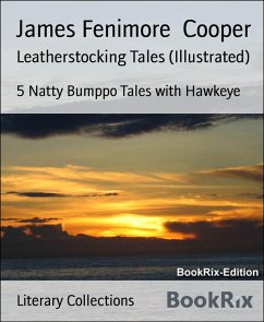 Cover Leatherstocking Tales (Illustrated) (eBook, ePUB)