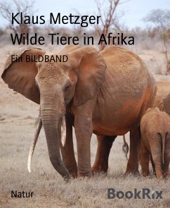Wilde Tiere in Afrika (eBook, ePUB) - Metzger, Klaus
