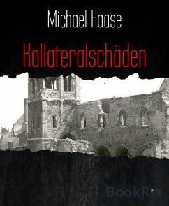 Kollateralschäden (eBook, ePUB) - Haase, Michael