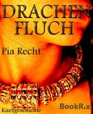Drachenfluch (eBook, ePUB)