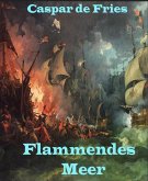 Flammendes Meer (eBook, ePUB)