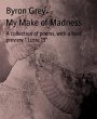My Make of Madness (eBook, ePUB) - Bild 1