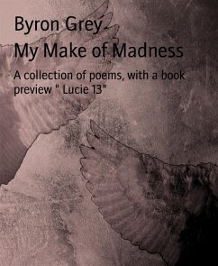 Cover My Make of Madness (eBook, ePUB)