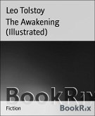 The Awakening (Illustrated) (eBook, ePUB)