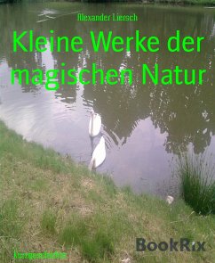 Kleine Werke der magischen Natur (eBook, ePUB) - Liersch, Alexander