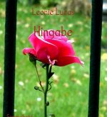 Hingabe (eBook, ePUB)