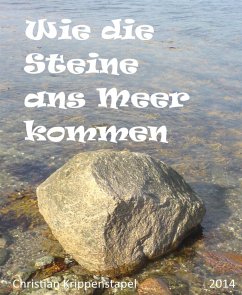 Wie die Steine ans Meer kommen (eBook, ePUB) - Krippenstapel, Christian