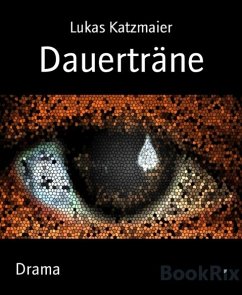 Dauerträne (eBook, ePUB) - Katzmaier, Lukas