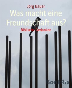 Was macht eine Freundschaft aus? (eBook, ePUB) - Bauer, Jörg